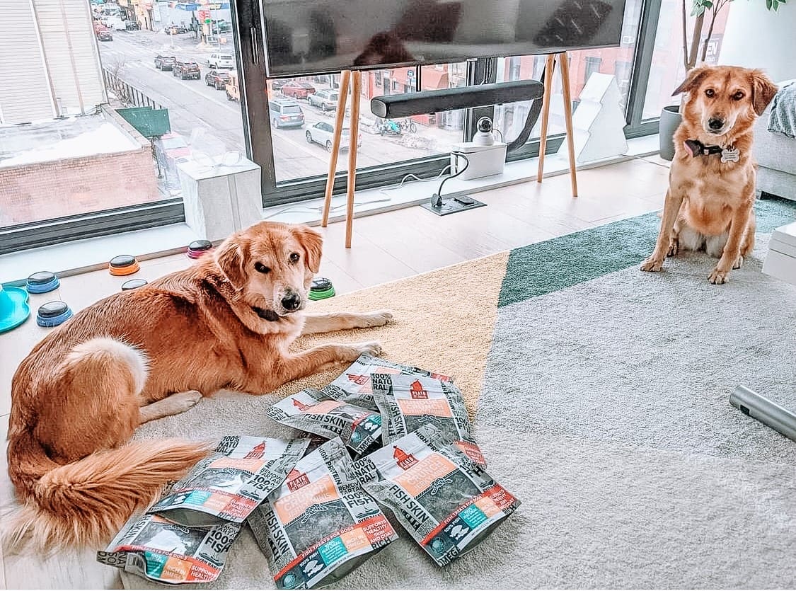 Two dogs sitting next to multiple bags of platos pet treats